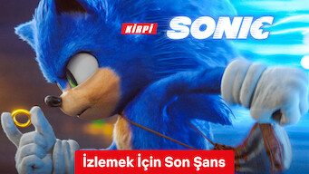 Kirpi Sonic (2020)