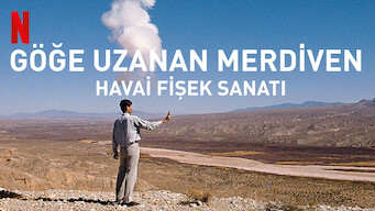 Göğe Uzanan Merdiven: Havai Fişek Sanatı (2016)